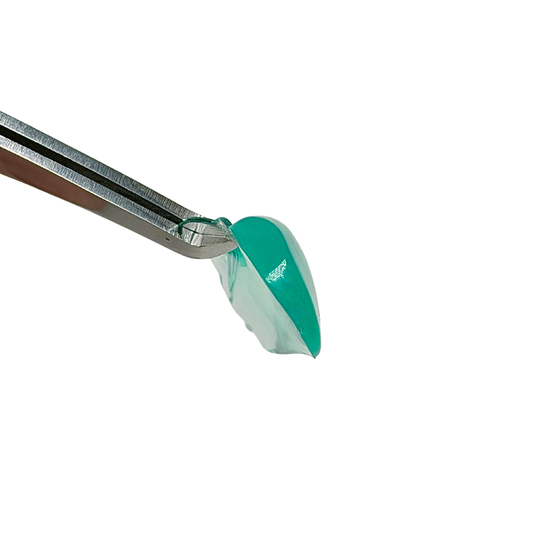 A small translucent green and white leaf-shaped item held by metal tweezers against a plain white background.